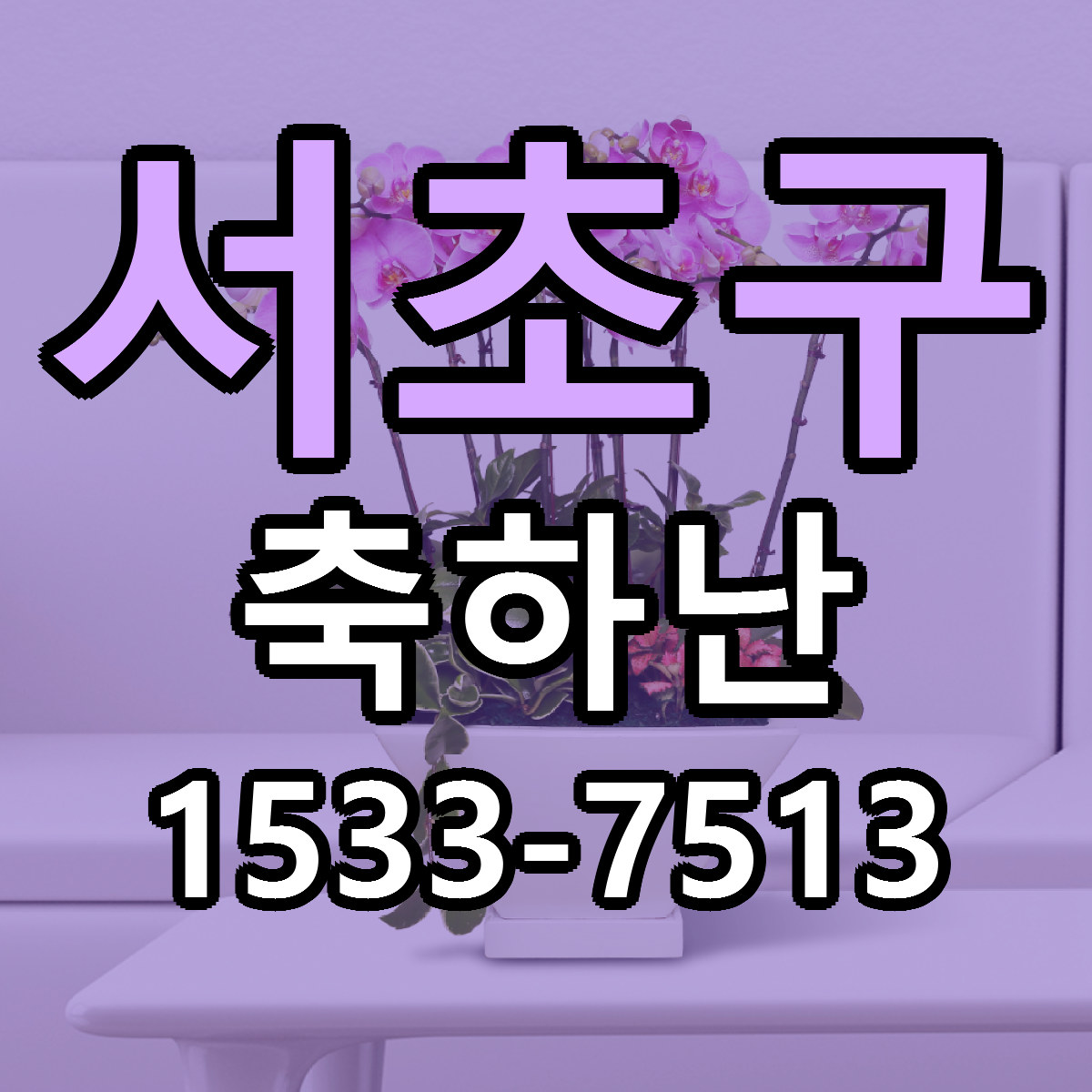 서초구 축하난 빠른배송 리본문구 근처꽃집 예약