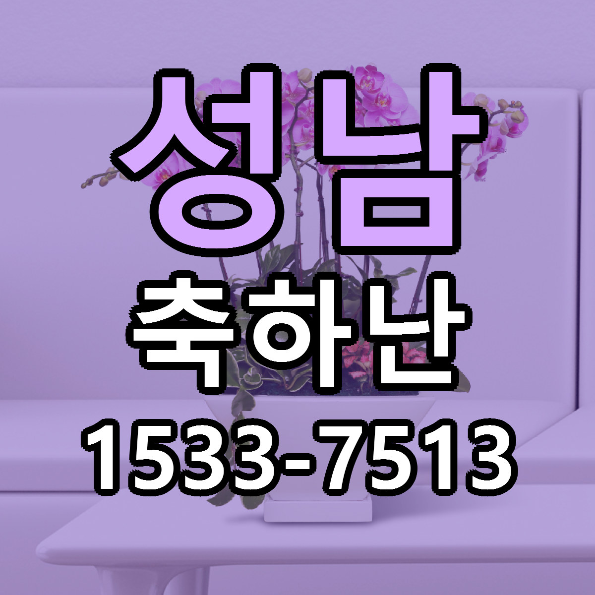 성남 축하난 근처꽃집 당일배송 가격 안내