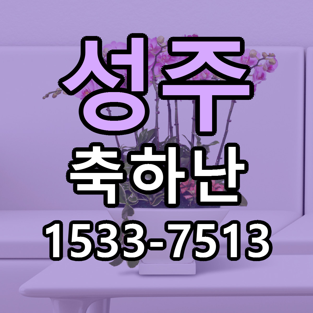 성주 축하난 저렴한곳 당일배송 근처꽃집 추천