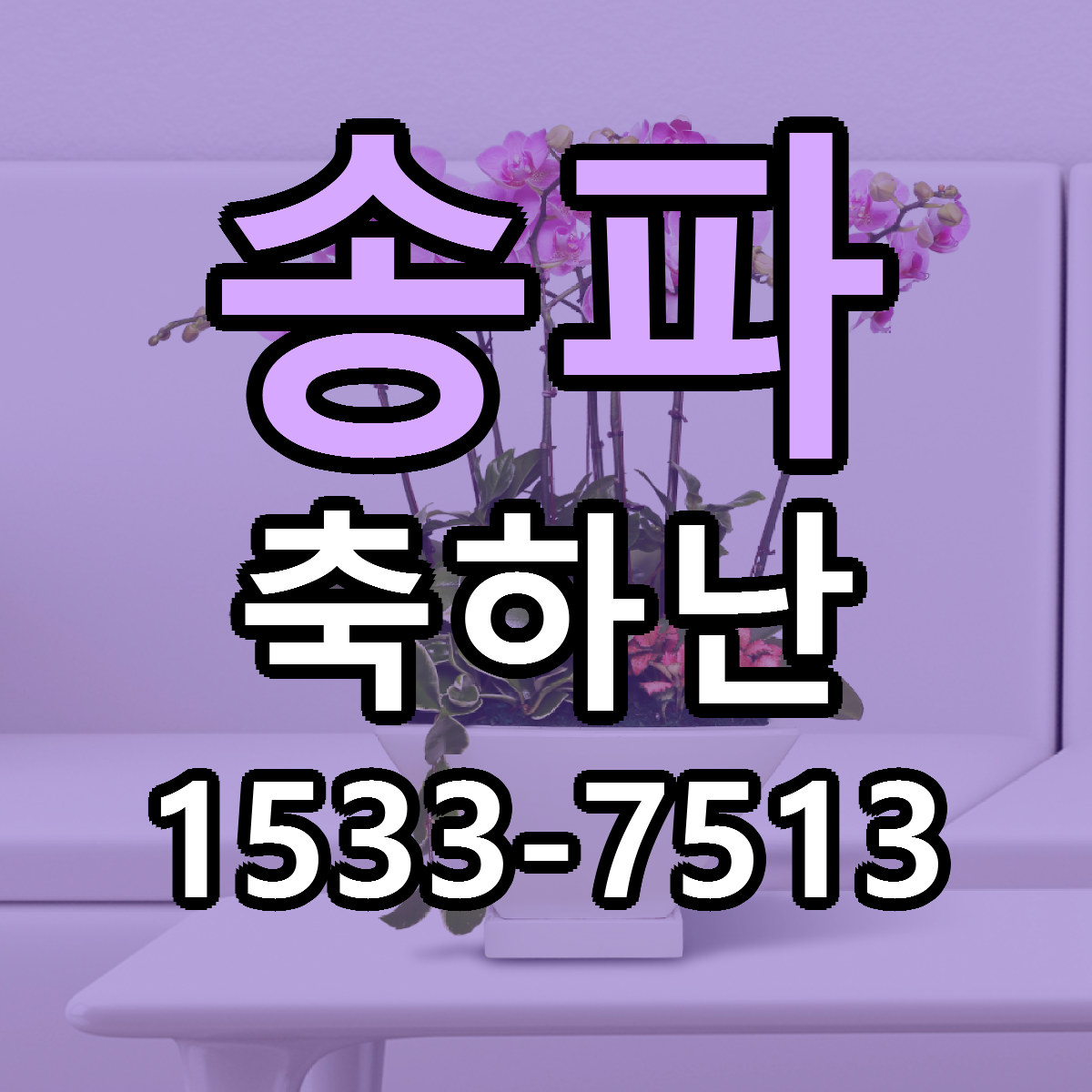 송파 축하난 저렴한곳 당일배송 가격 만족