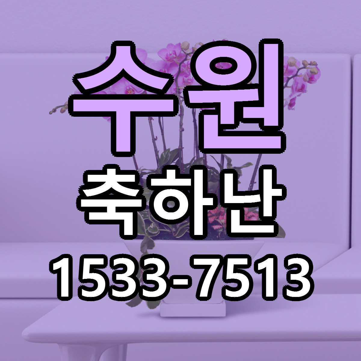 수원 축하난 리본문구 근처꽃집 저렴한곳 예약