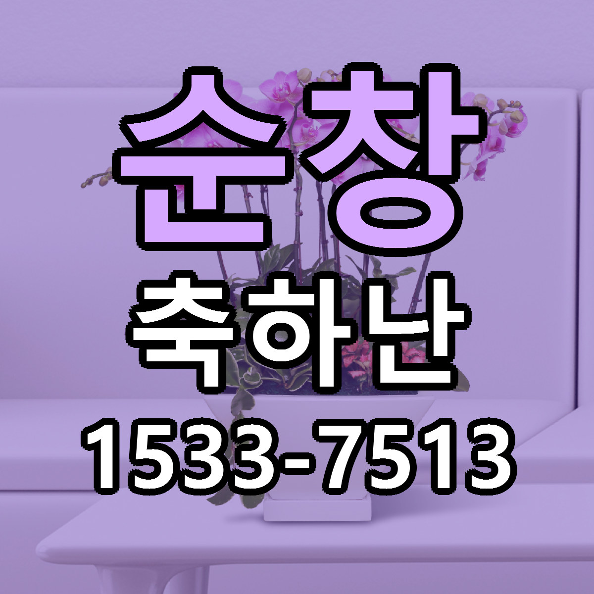 순창 축하난 저렴한곳 당일배송 가격 만족