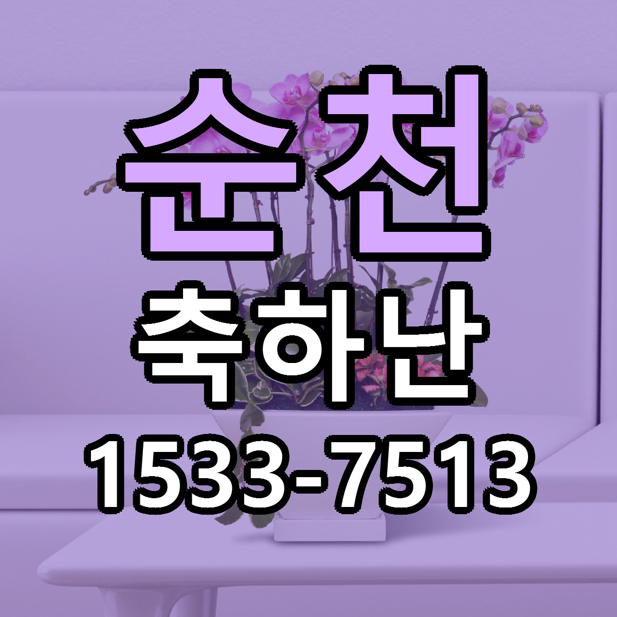 순천 축하난 근처꽃집 저렴한곳 빠른배송 서비스