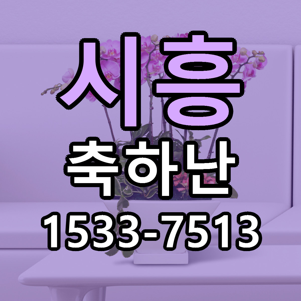 시흥 축하난 당일배송 빠른배송 싼곳 찾기
