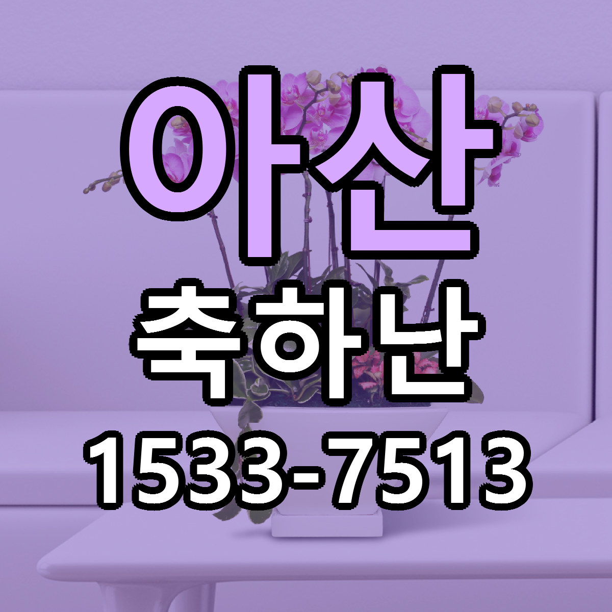 아산 축하난 리본문구 싼곳 빠른배송 예약