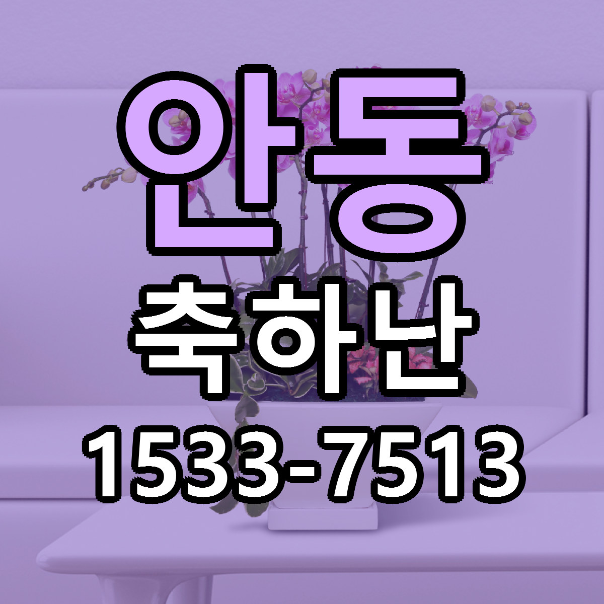 안동 축하난 근처꽃집 당일배송 리본문구 서비스