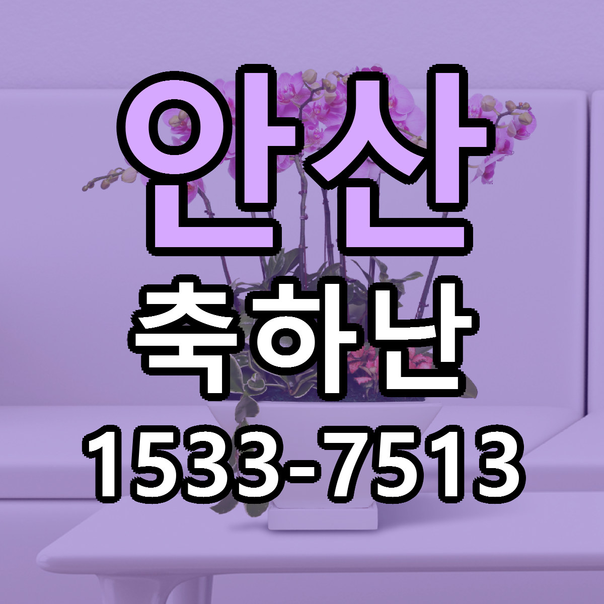안산 축하난 근처꽃집 가격 저렴한곳 안내