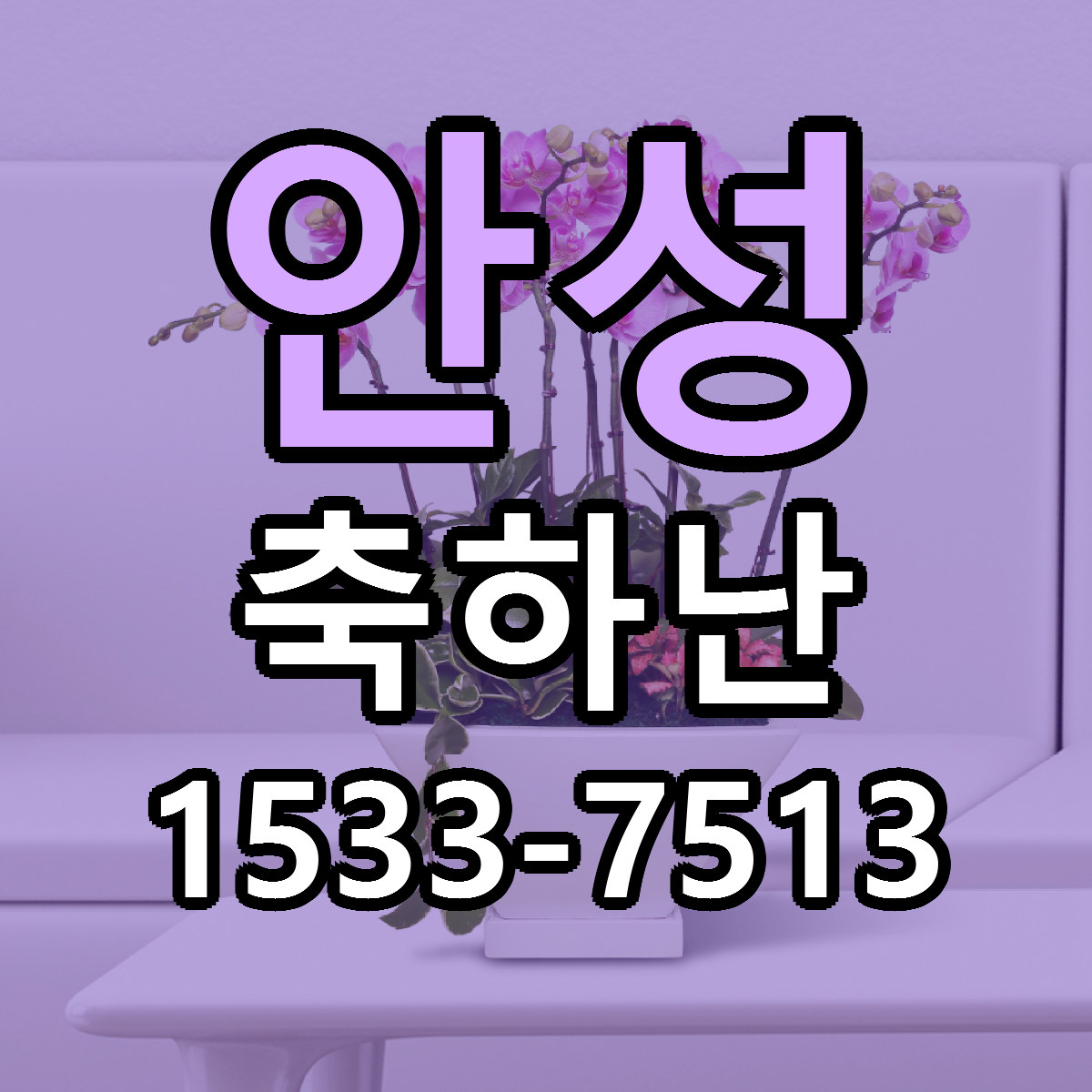안성 축하난 당일배송 싼곳 리본문구 안내