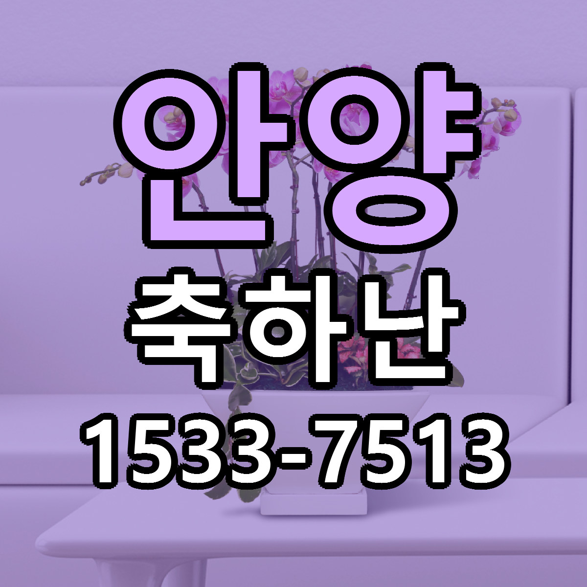 안양 축하난 싼곳 당일배송 리본문구 작성