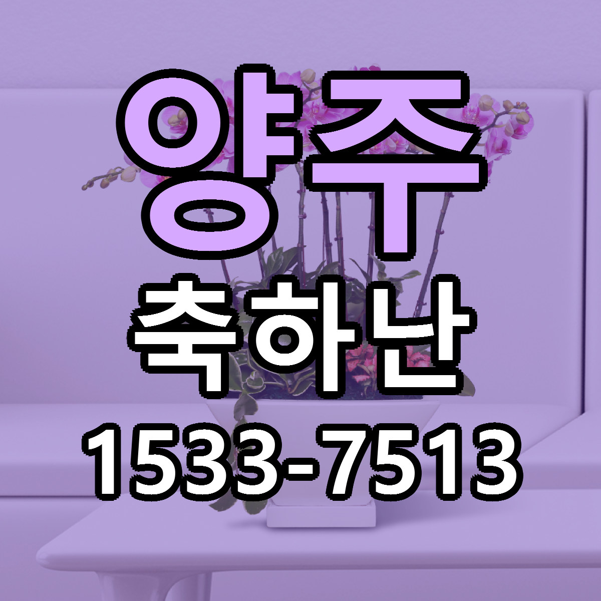 양주 축하난 당일배송 저렴한곳 리본문구 추천