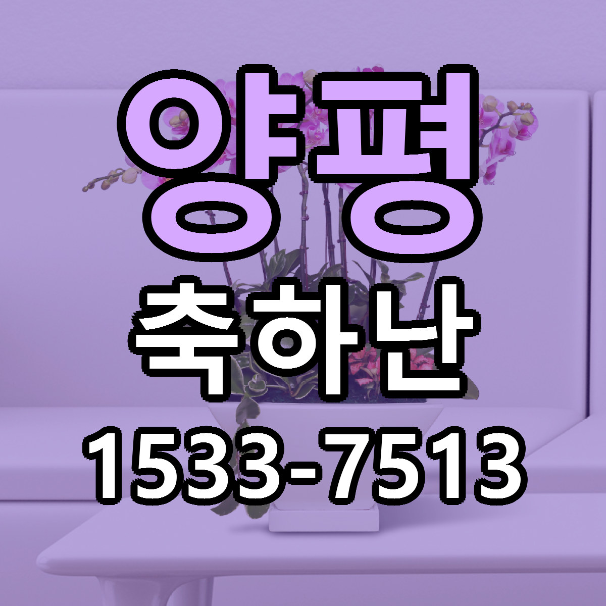 양평 축하난 빠른배송 저렴한곳 가격 정리