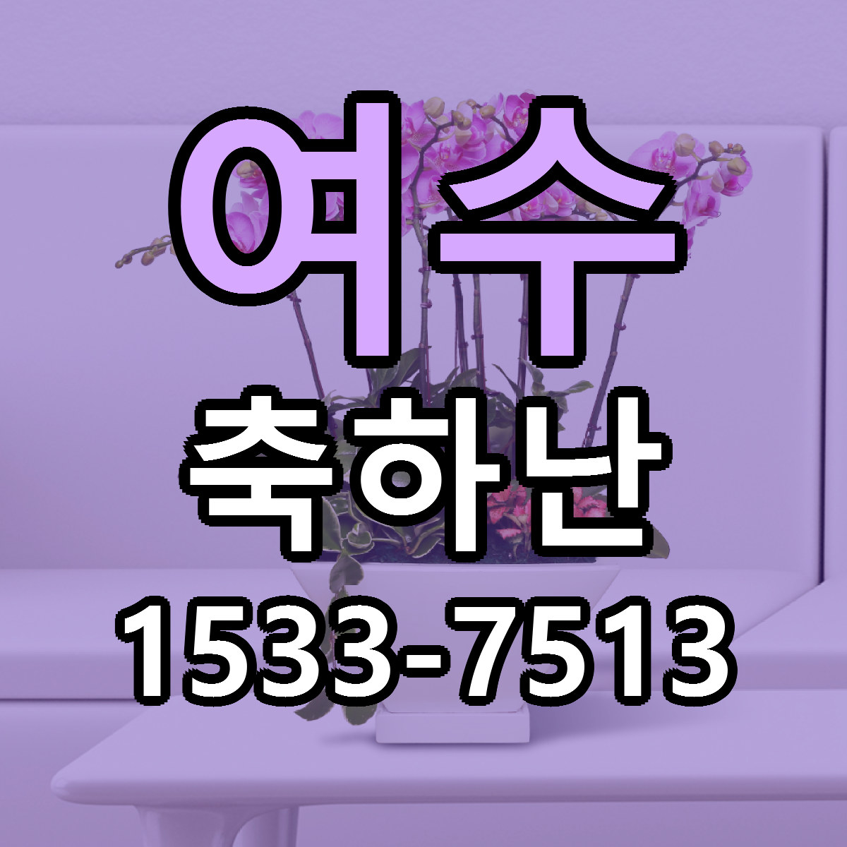 여수 축하난 싼곳 빠른배송 리본문구 무료