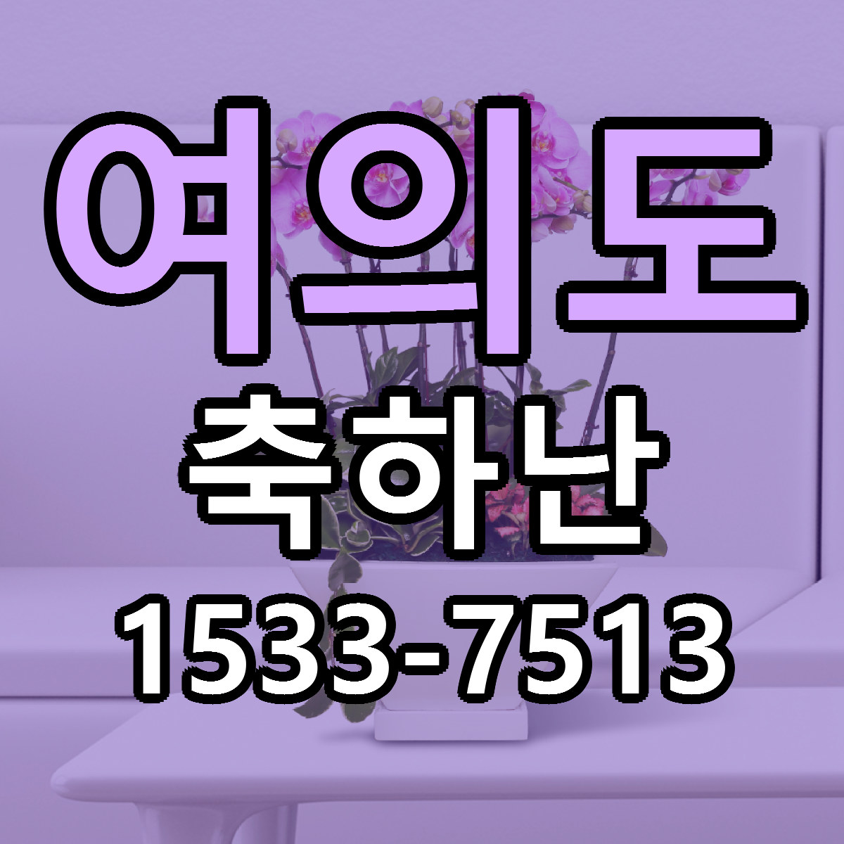 여의도 축하난 근처꽃집 가격 저렴한곳 안내