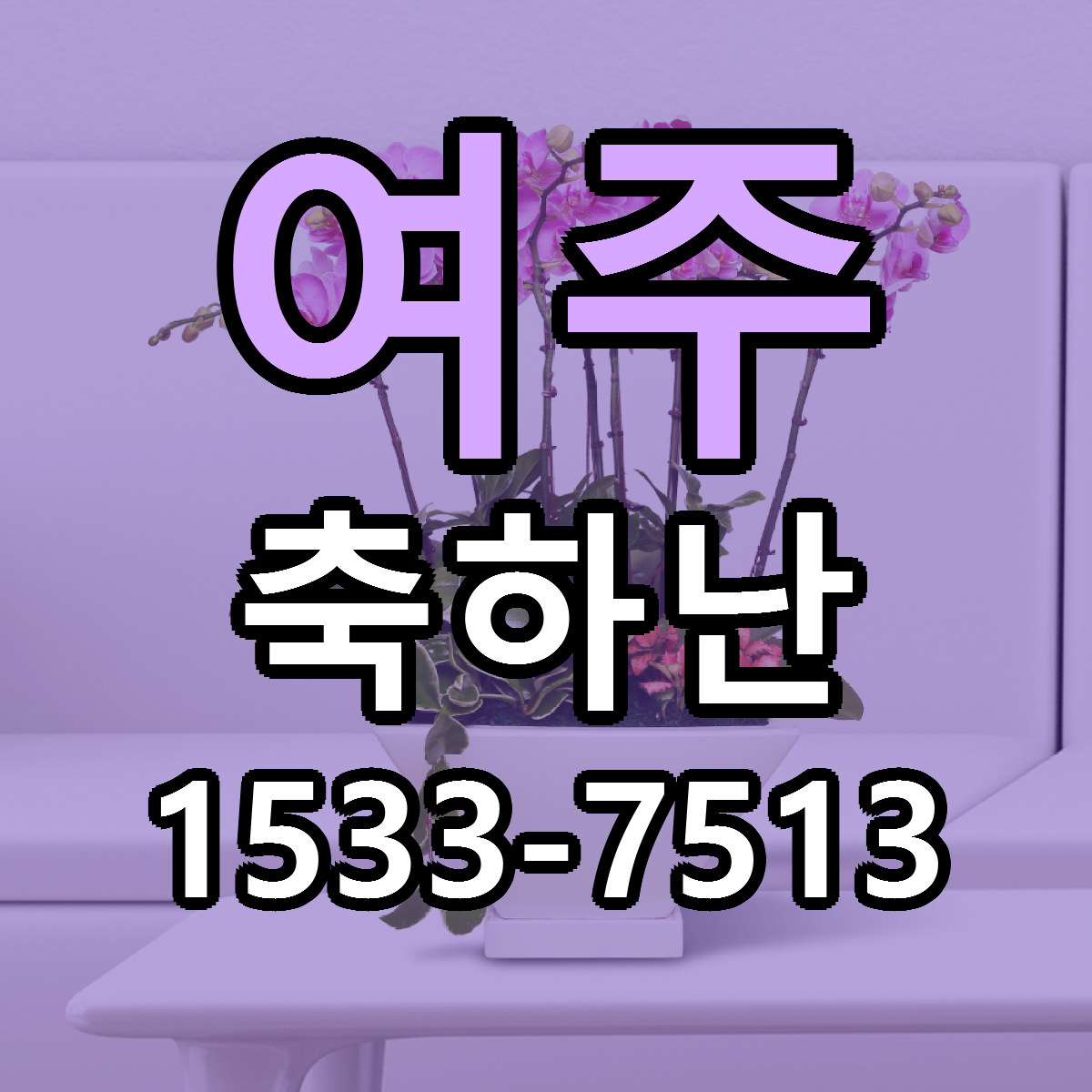 여주 축하난 빠른배송 근처꽃집 가격 비교