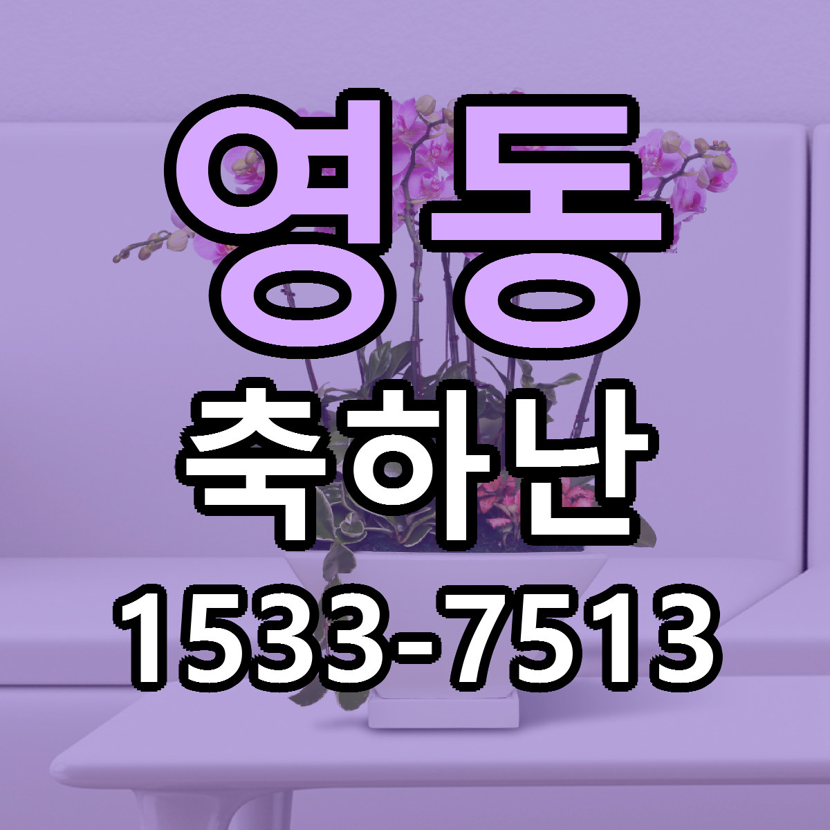 영동 축하난 빠른배송 리본문구 근처꽃집 예약