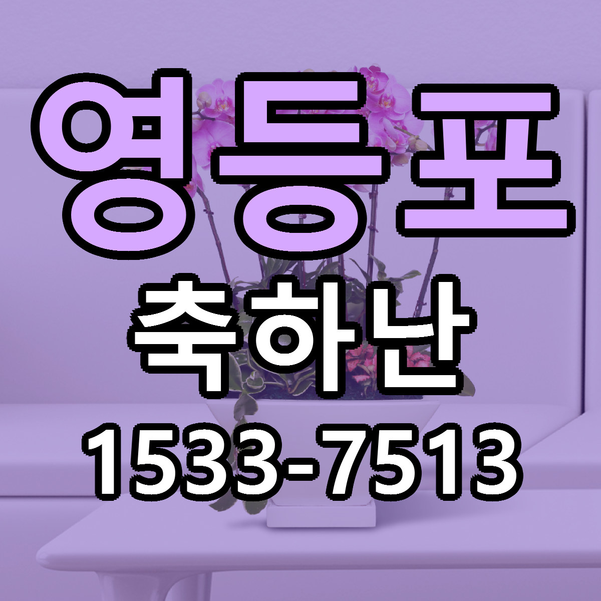 영등포 축하난 빠른배송 리본문구 근처꽃집 예약