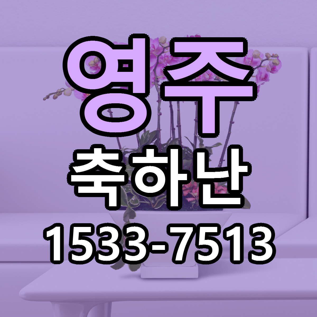 영주 축하난 당일배송 리본문구 빠른배송 서비스