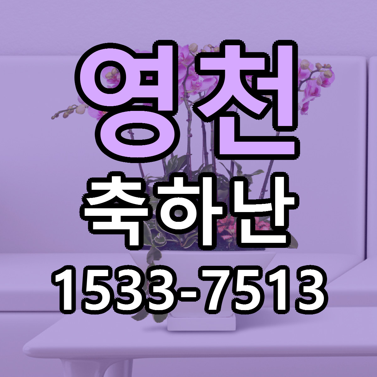 영천 축하난 저렴한곳 당일배송 근처꽃집 추천