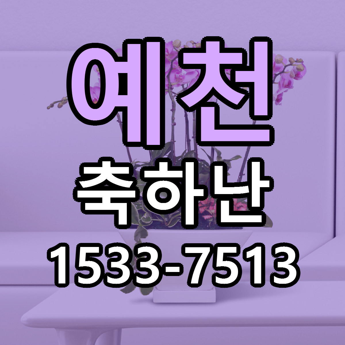 예천 축하난 가격 만족 저렴한곳 리본문구 작성