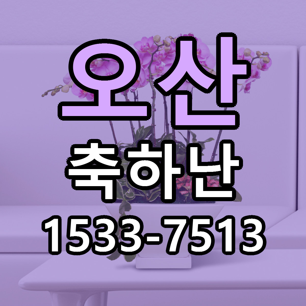 오산 축하난 근처꽃집 빠른배송 가격 문의
