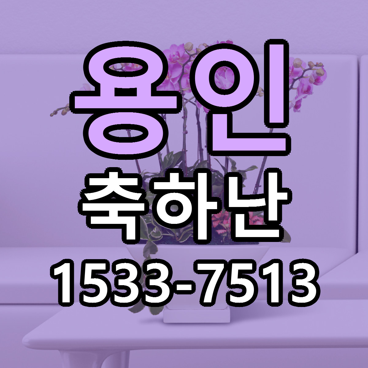 용인 축하난 싼곳 당일배송 리본문구 작성