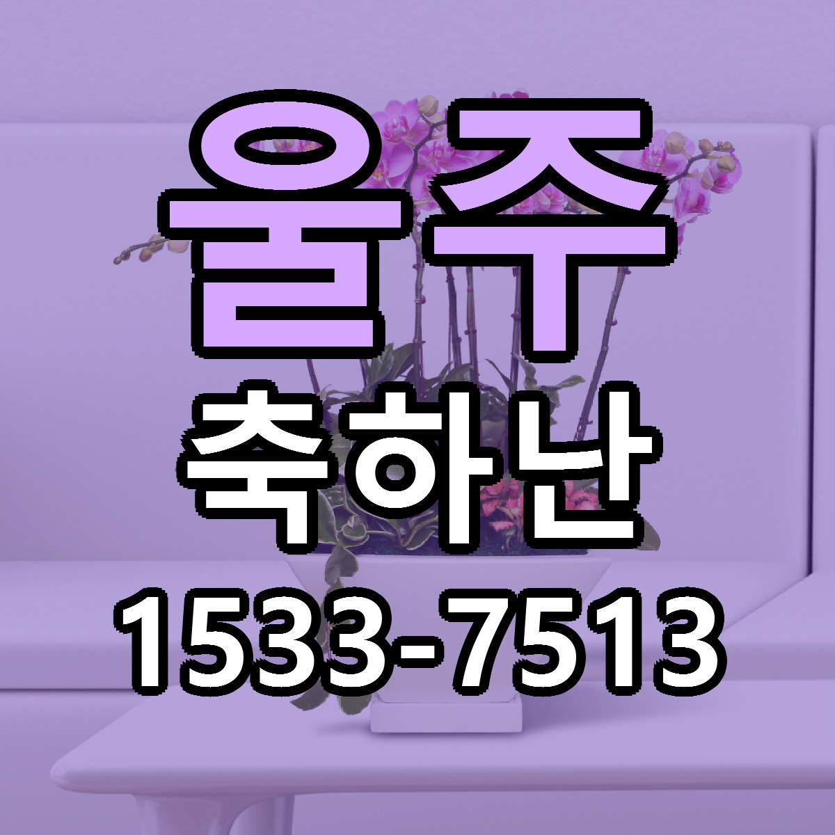 울주 축하난 리본문구 근처꽃집 저렴한곳 예약