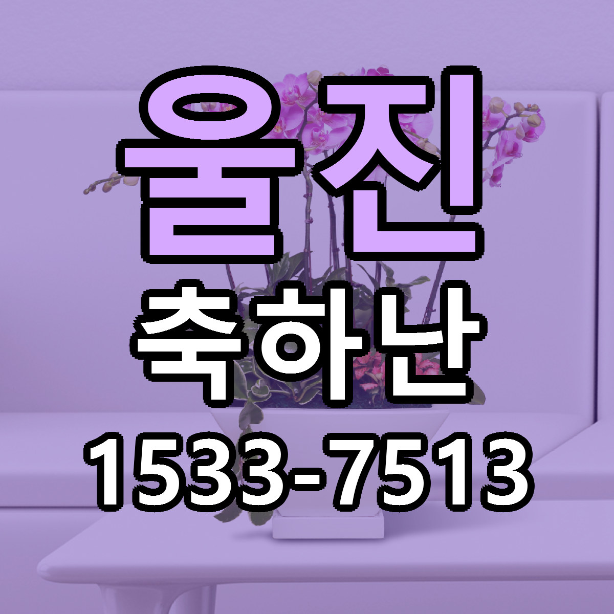 울진 축하난 리본문구 서비스 저렴한곳 빠른배송