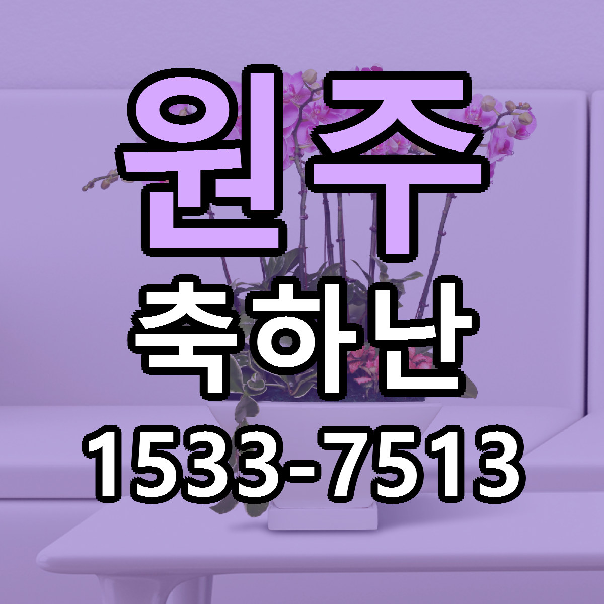 원주 축하난 리본문구 싼곳 빠른배송 예약