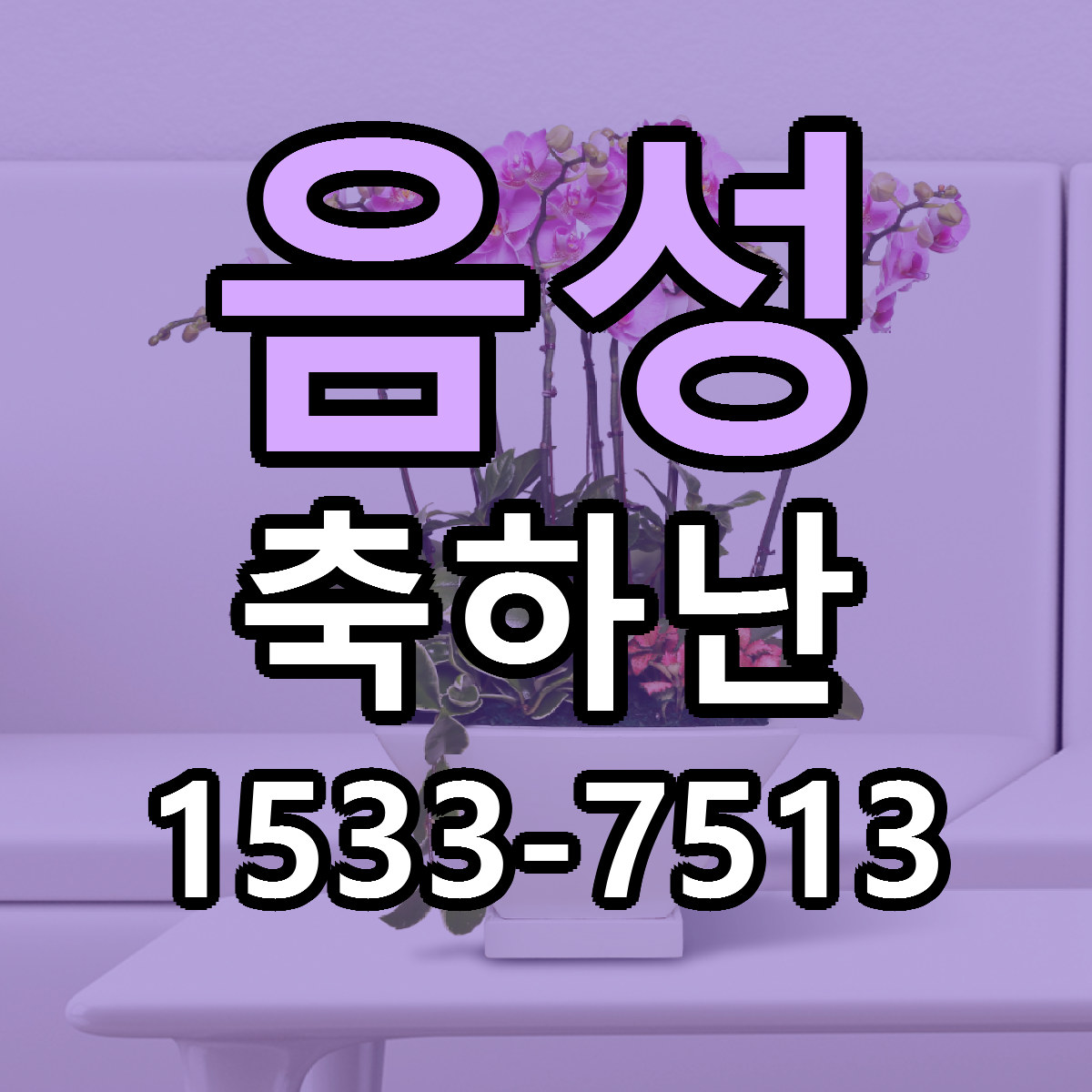 음성 축하난 저렴한곳 당일배송 가격 만족