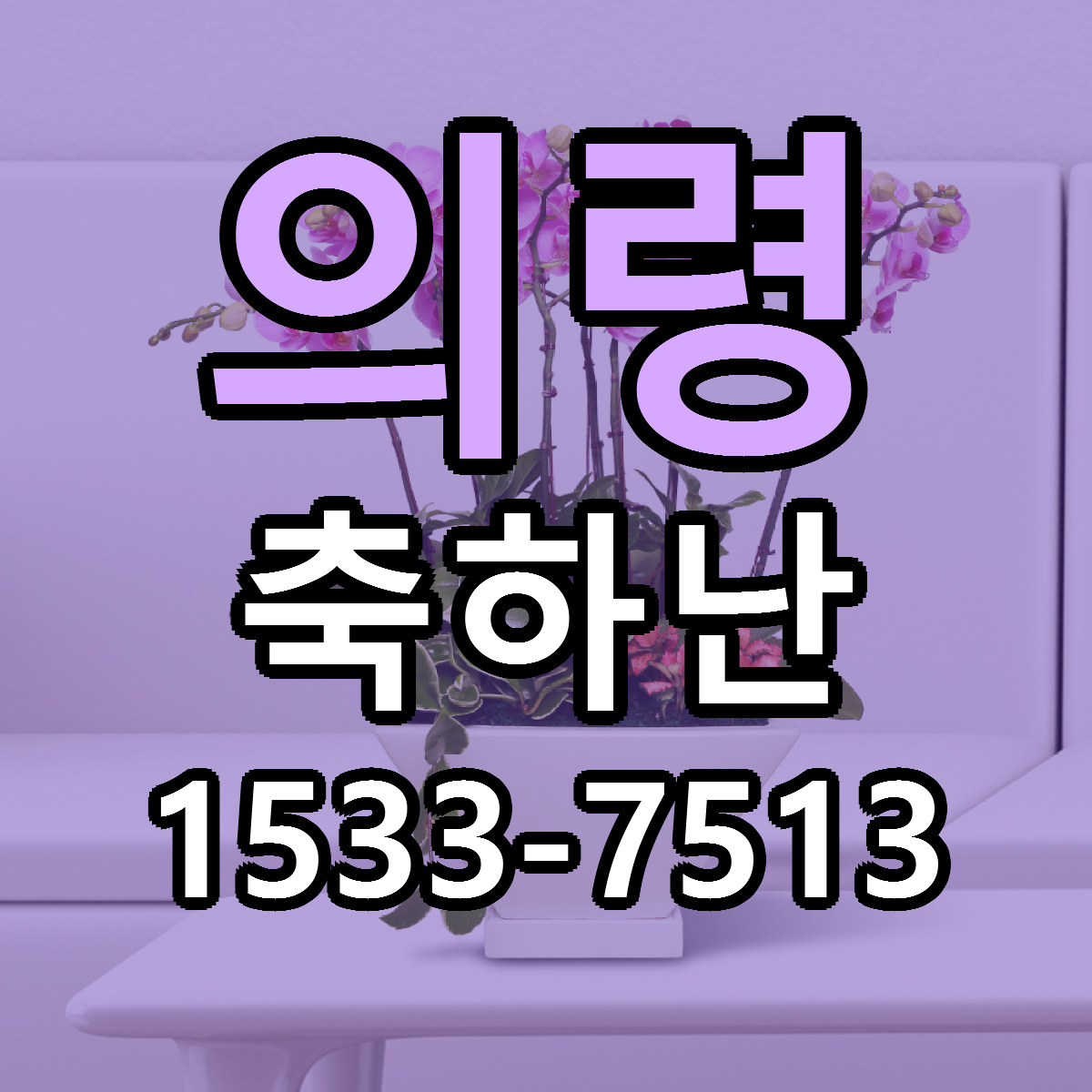 의령 축하난 당일배송 리본문구 싼곳 찾기