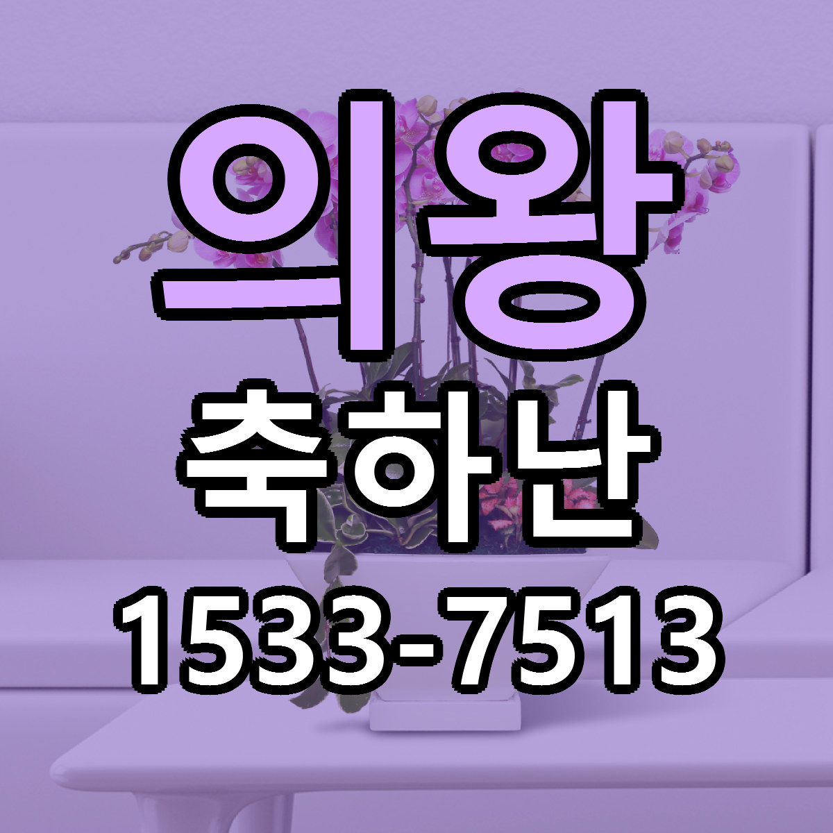 의왕 축하난 당일배송 근처꽃집 싼곳 비교