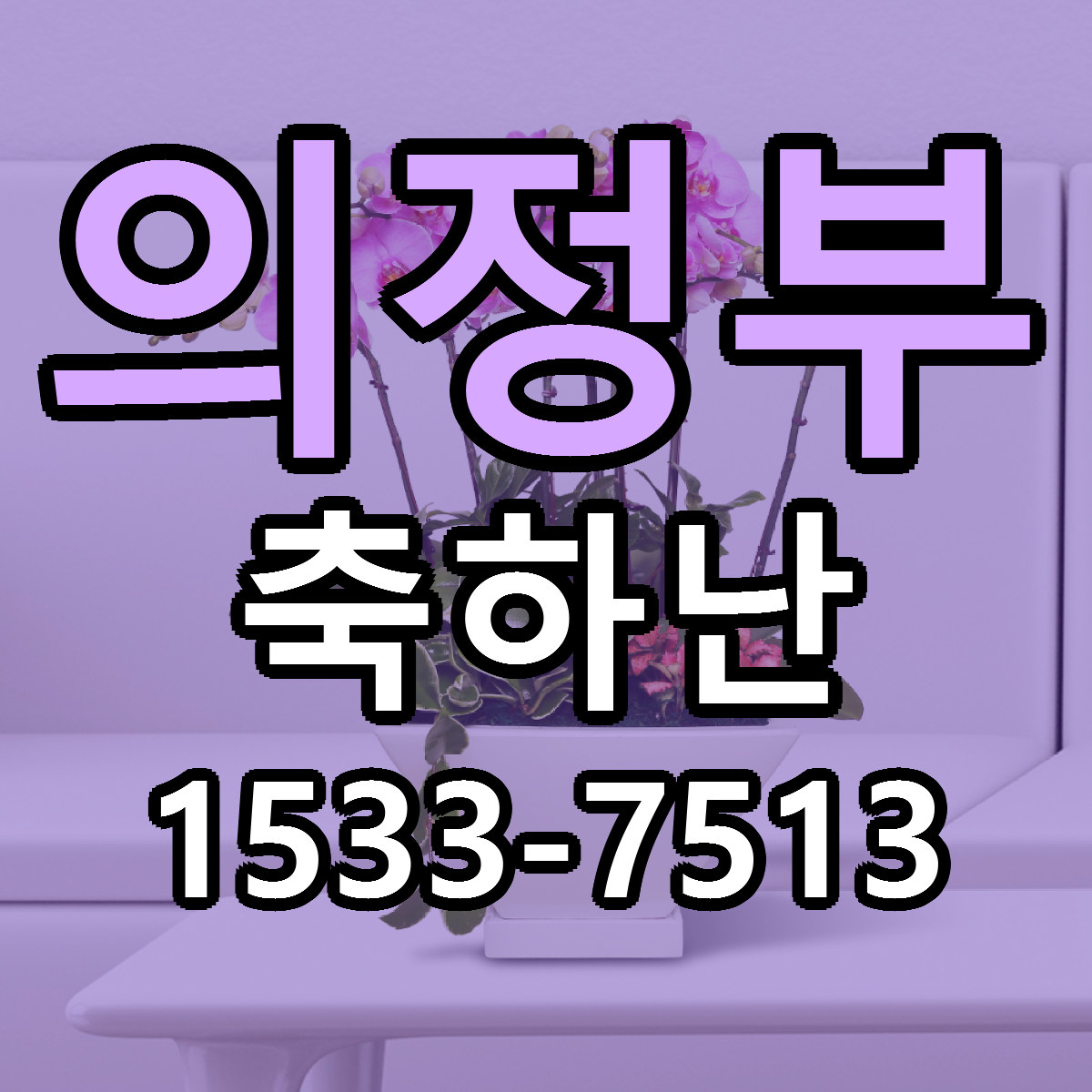 의정부 축하난 근처꽃집 당일배송 리본문구 서비스