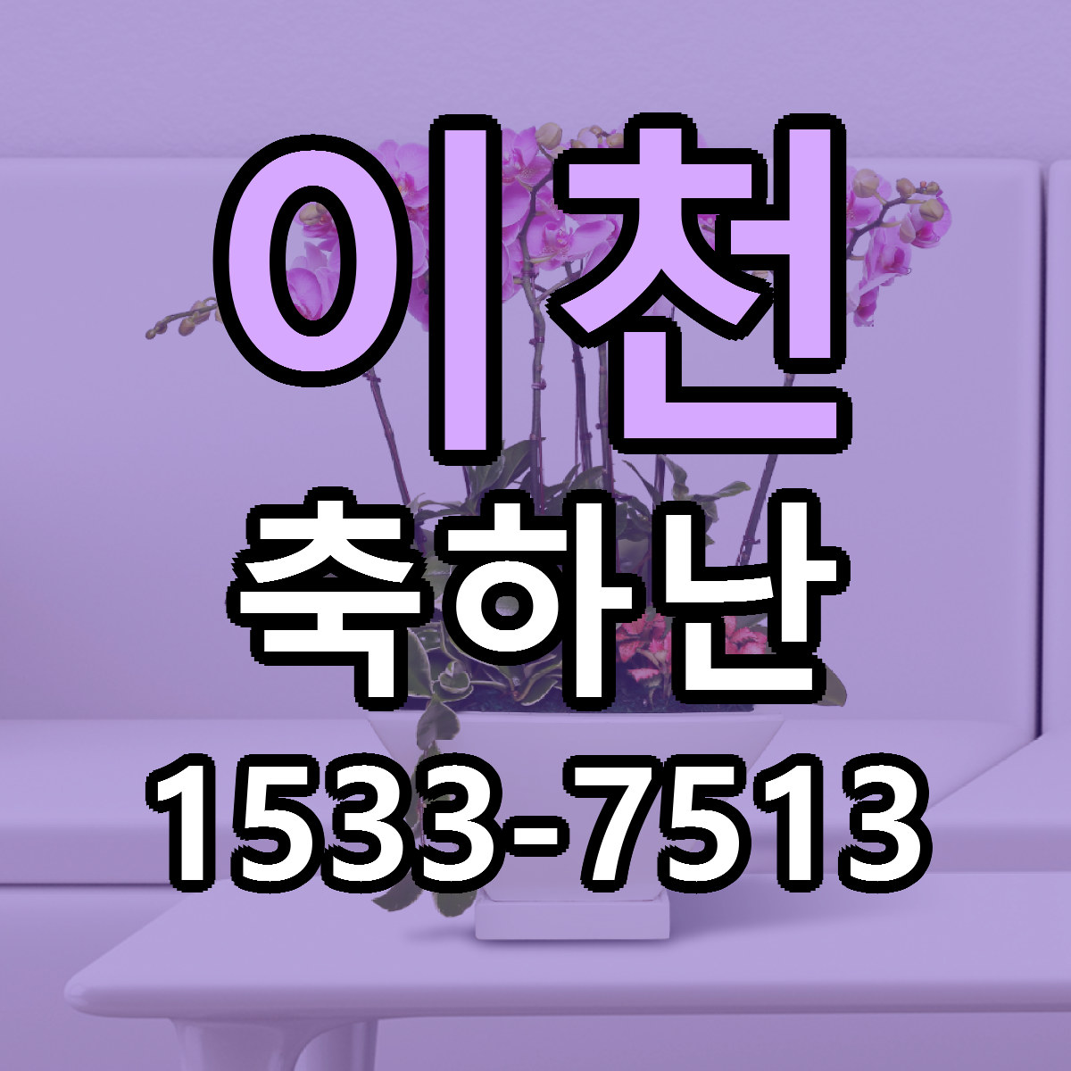 이천 축하난 빠른배송 근처꽃집 가격 비교