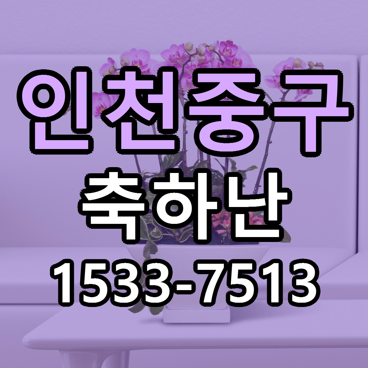 인천중구 축하난 근처꽃집 당일배송 싼곳 추천