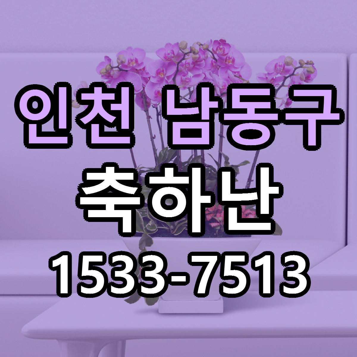 인천 남동구 축하난 당일배송 가격 저렴한곳 추천