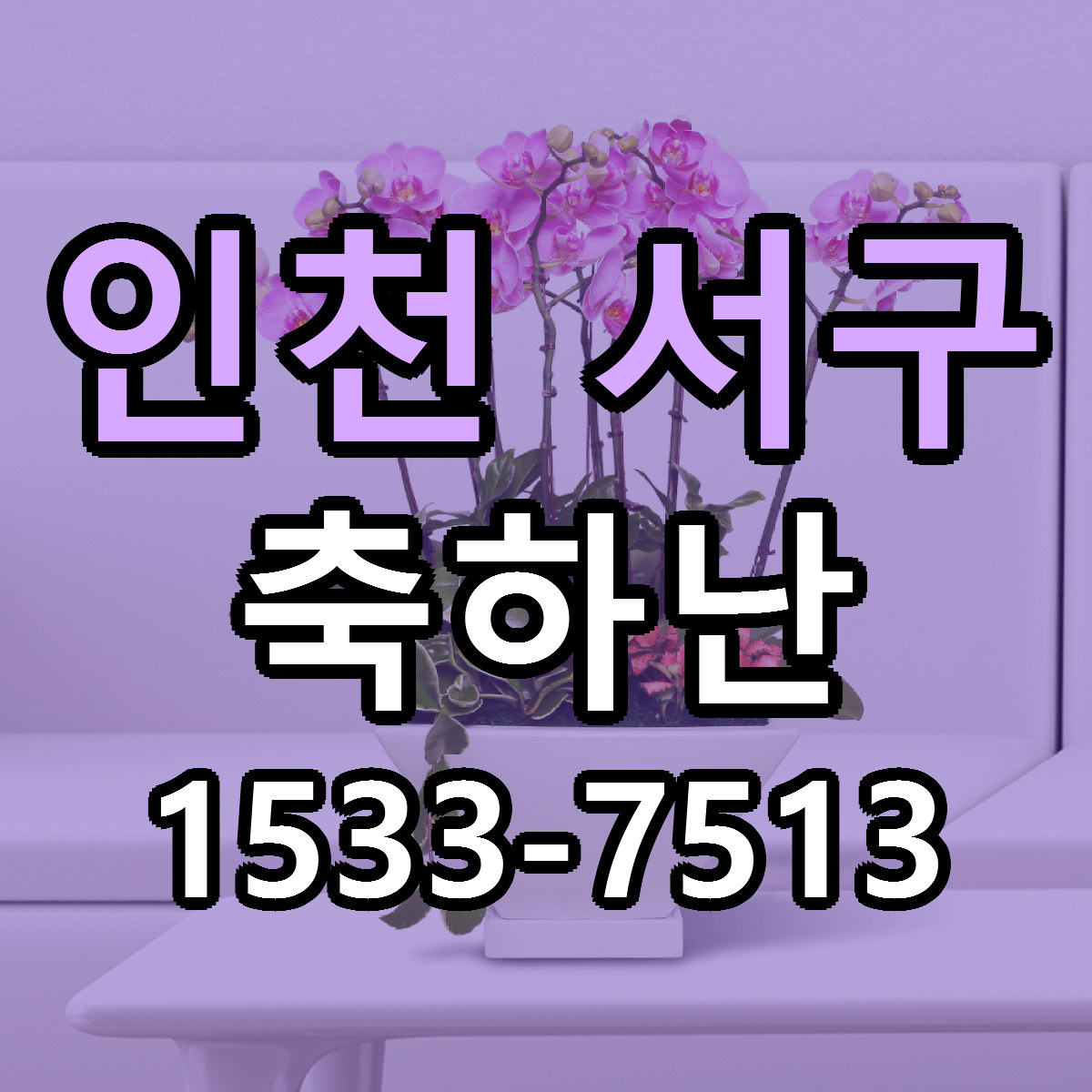인천 서구 축하난 빠른배송 싼곳 가격 문의