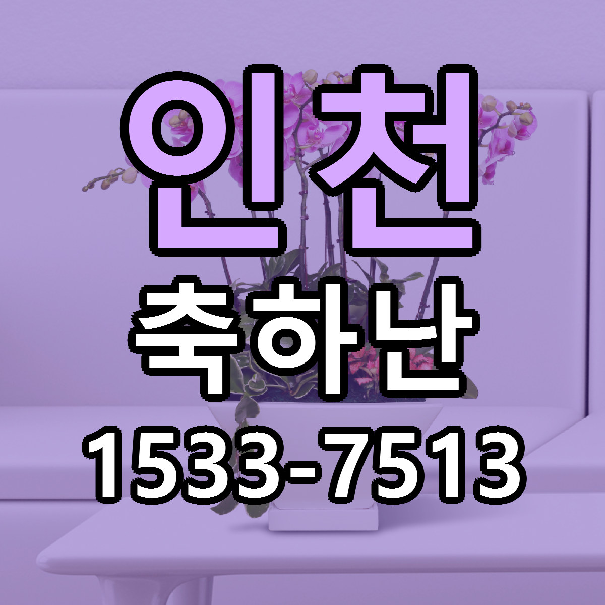 인천 축하난 빠른배송 저렴한곳 가격 정리