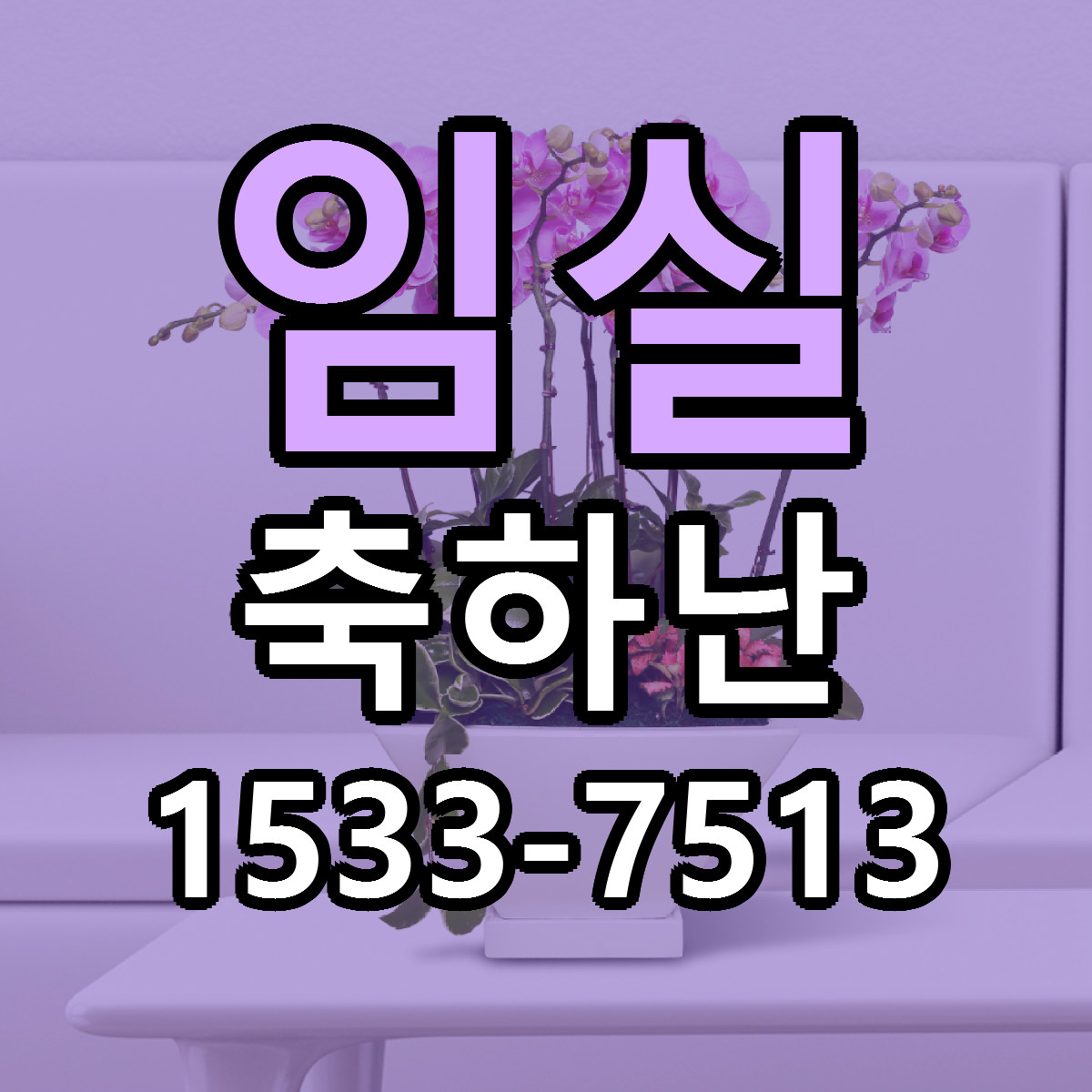 임실 축하난 리본문구 싼곳 빠른배송 예약