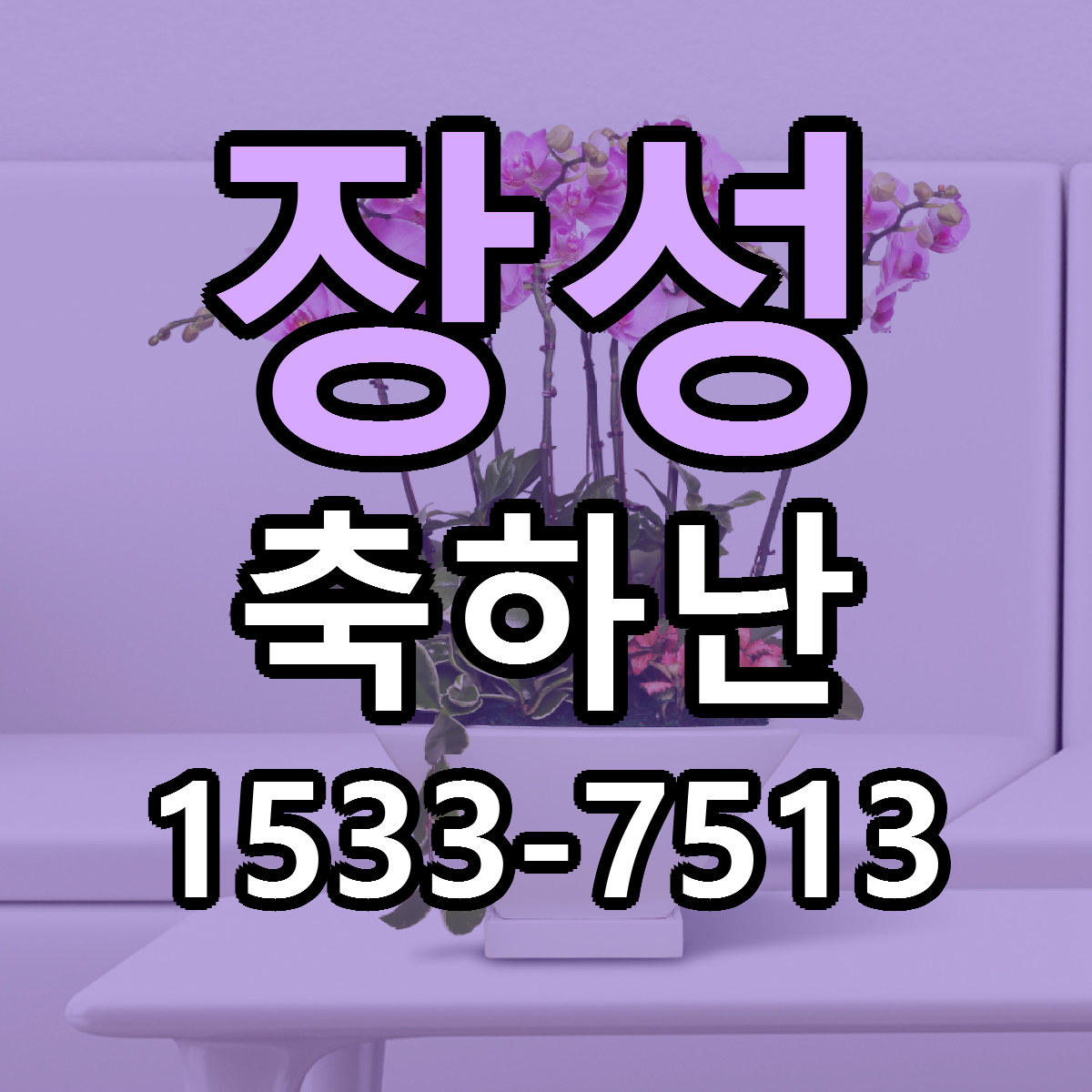 장성 축하난 싼곳 빠른배송 리본문구 무료