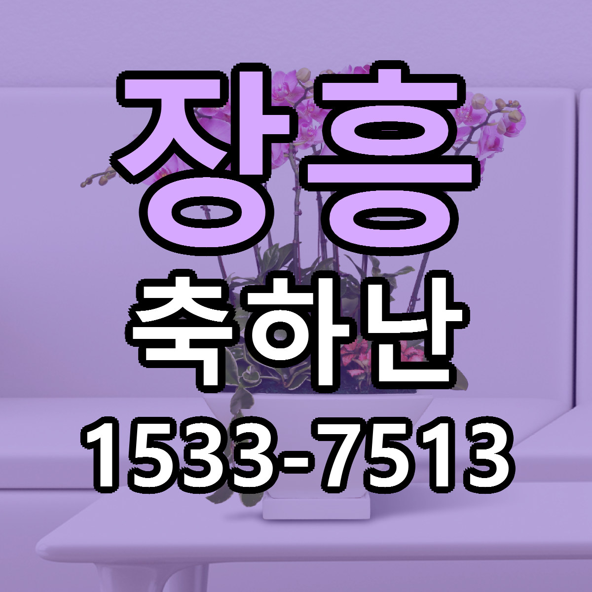장흥 축하난 빠른배송 싼곳 가격 문의