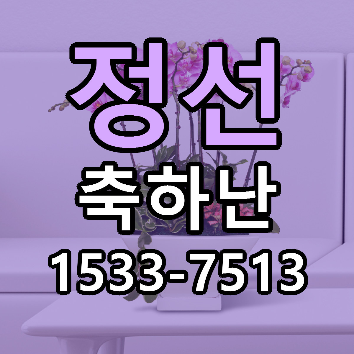 정선 축하난 싼곳 당일배송 리본문구 작성