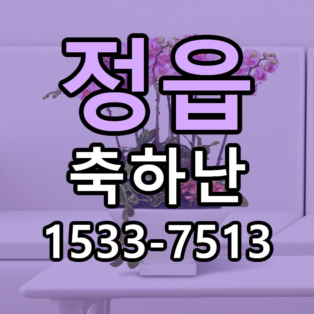 정읍 축하난 근처꽃집 빠른배송 가격 문의