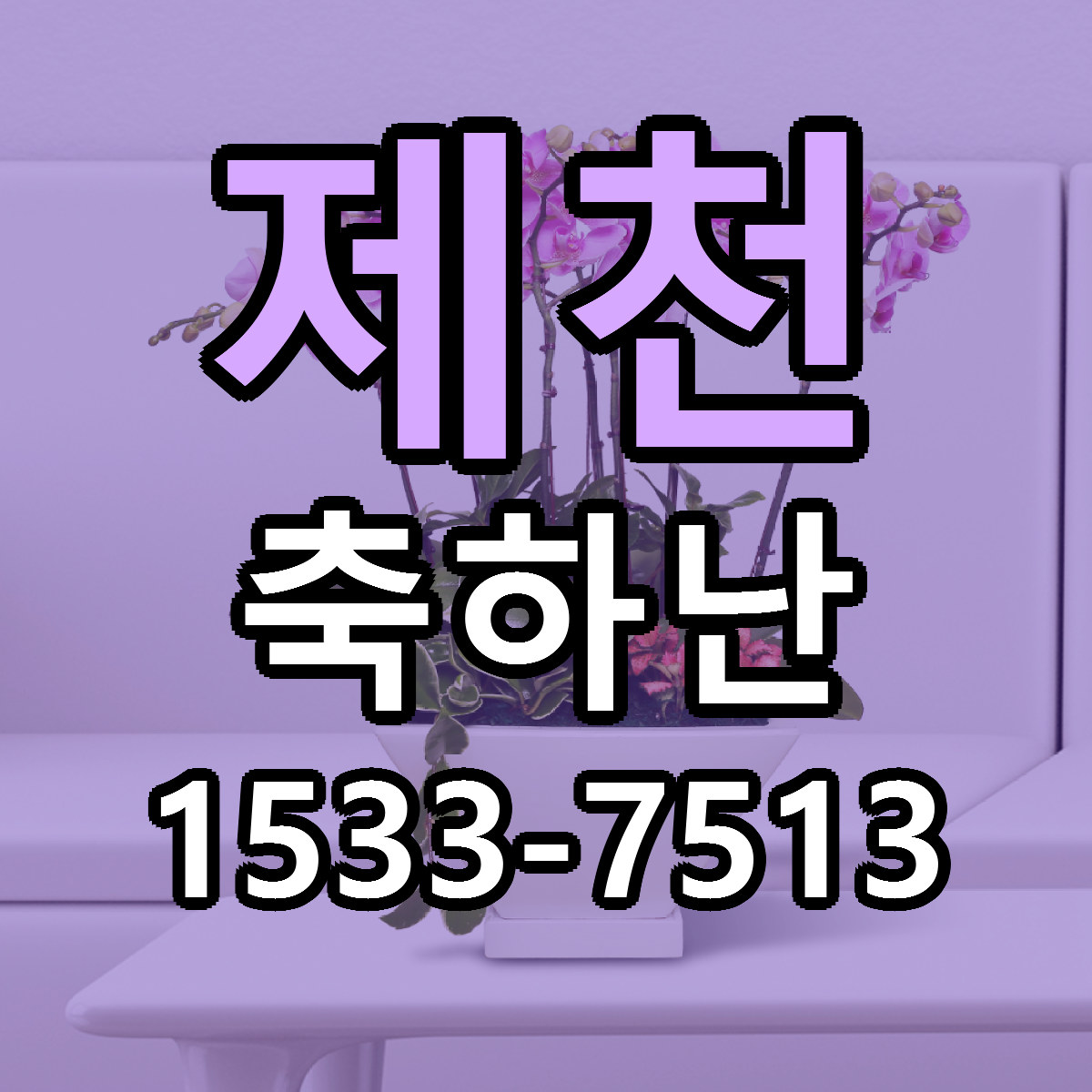 제천 축하난 리본문구 싼곳 빠른배송 예약