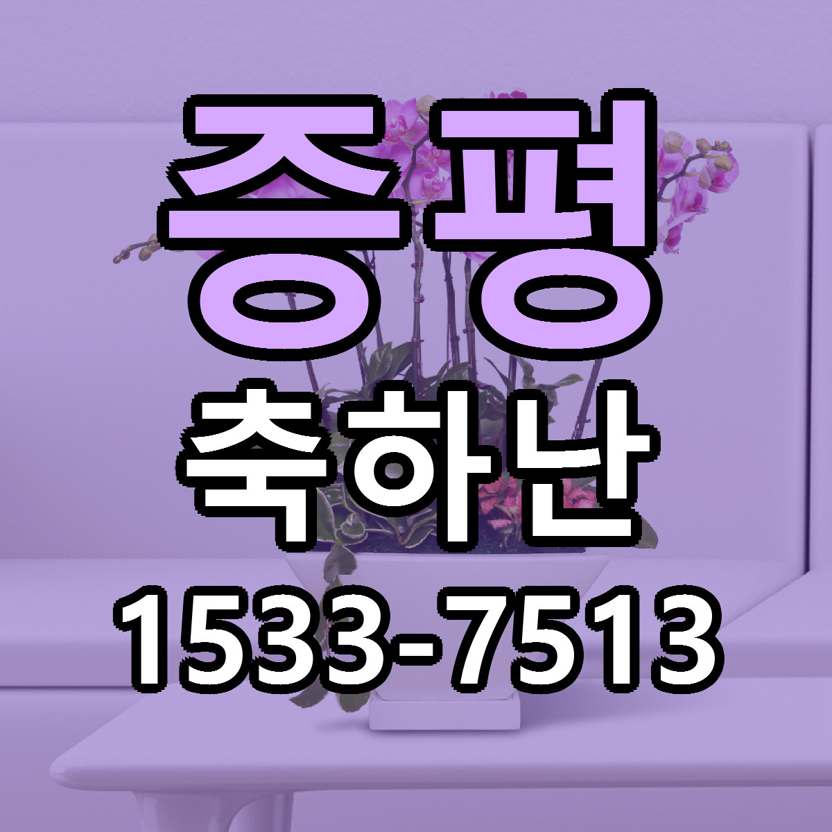증평 축하난 빠른배송 싼곳 가격 문의