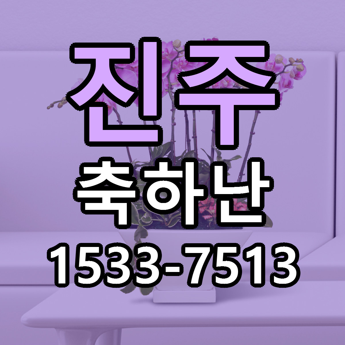 진주 축하난 리본문구 근처꽃집 저렴한곳 예약