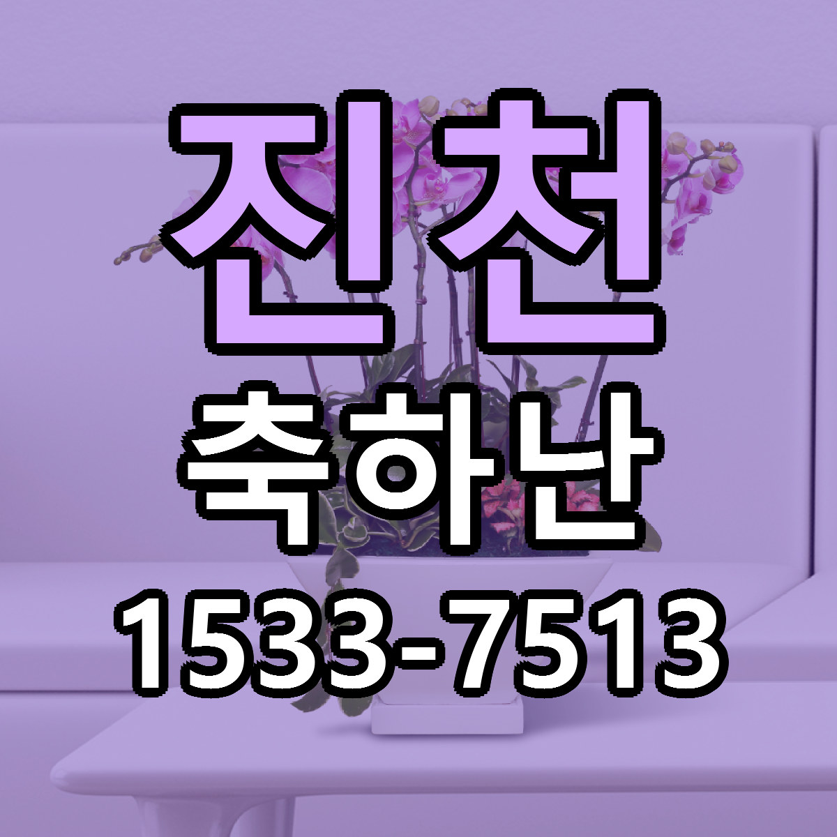 진천 축하난 근처꽃집 가격 저렴한곳 안내