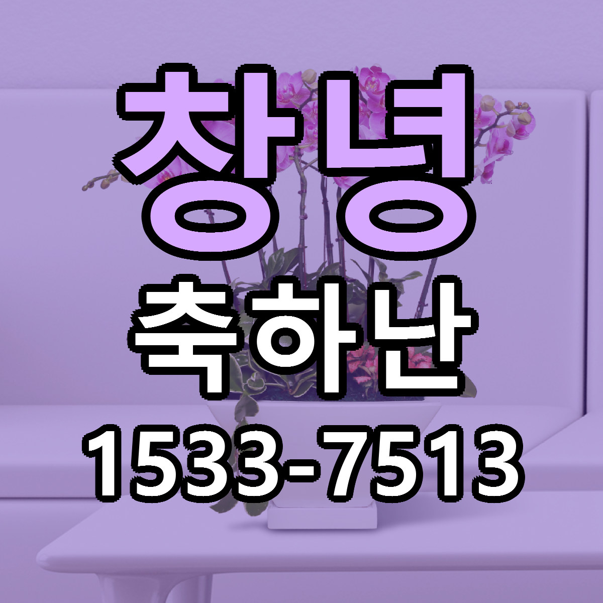 창녕 축하난 근처꽃집 빠른배송 가격 문의