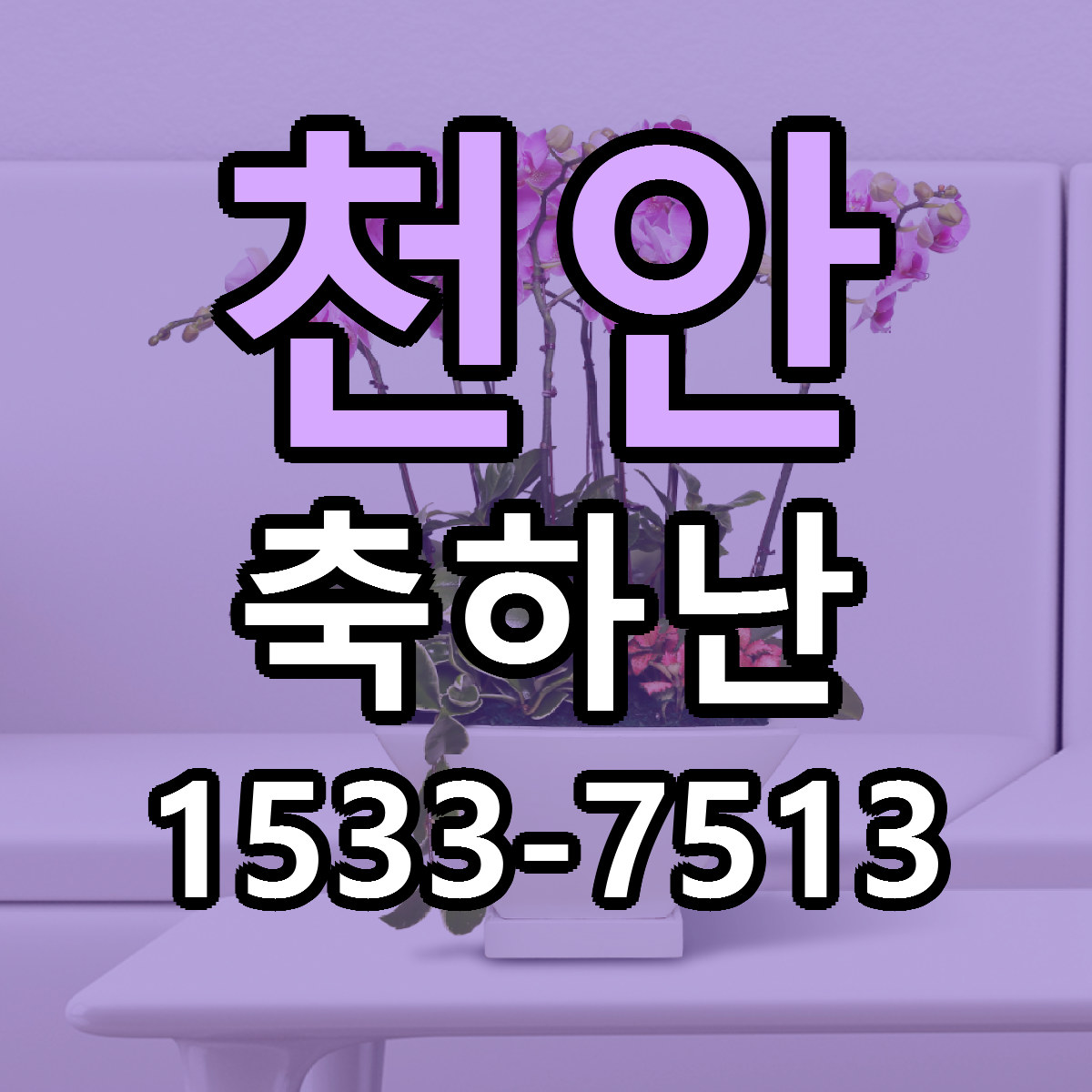 천안 축하난 리본문구 서비스 저렴한곳 빠른배송