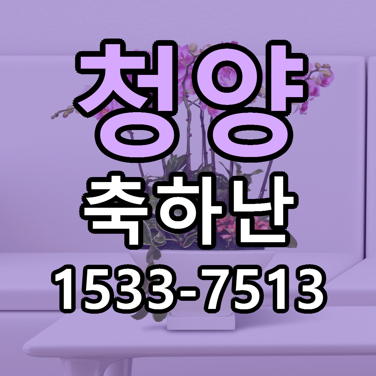 청양 축하난 리본문구 서비스 저렴한곳 빠른배송