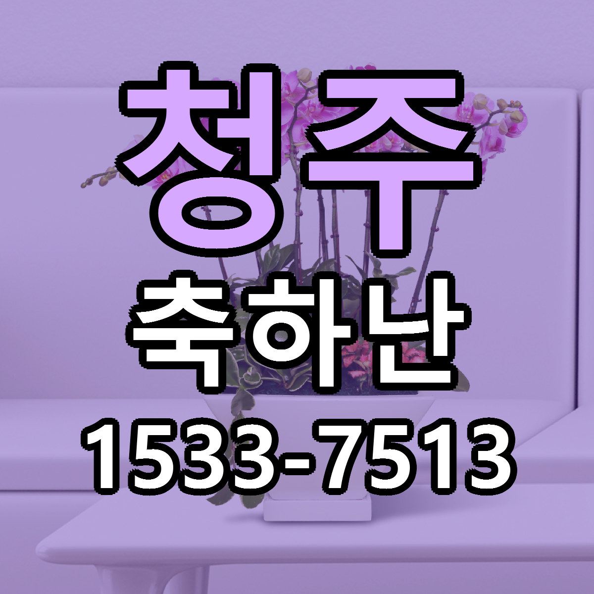 청주 축하난 저렴한곳 당일배송 근처꽃집 추천
